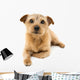 Norfolk Terrier Wall Decal