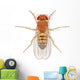 Fruit Fly Wall Decal