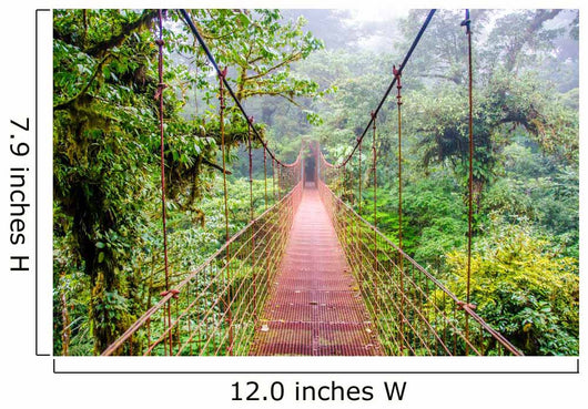 Costa Rica Rainforest Wall Decal