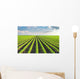 Soybean Field Wall Decal