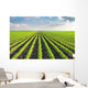 Soybean Field Wall Decal