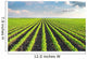 Soybean Field Wall Decal