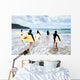 Unidentified Surfers with Surfing Wall Decal