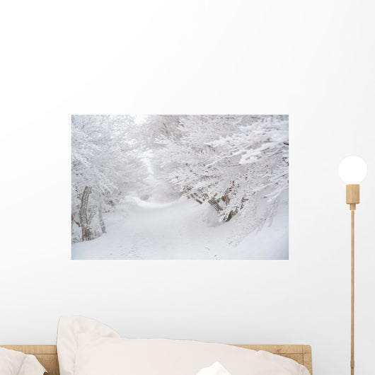 Winter Wonderland Wall Decal