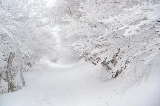 Winter Wonderland Wall Decal