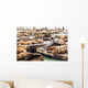 Sea Lions Pier 39 Wall Decal
