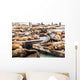 Sea Lions Pier 39 Wall Decal