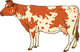 Spotted Cow Wall Decal