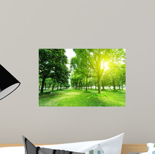 Footpath and Trees Park Wall Decal