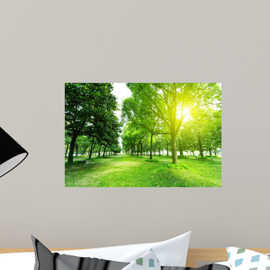 Footpath and Trees Park Wall Decal
