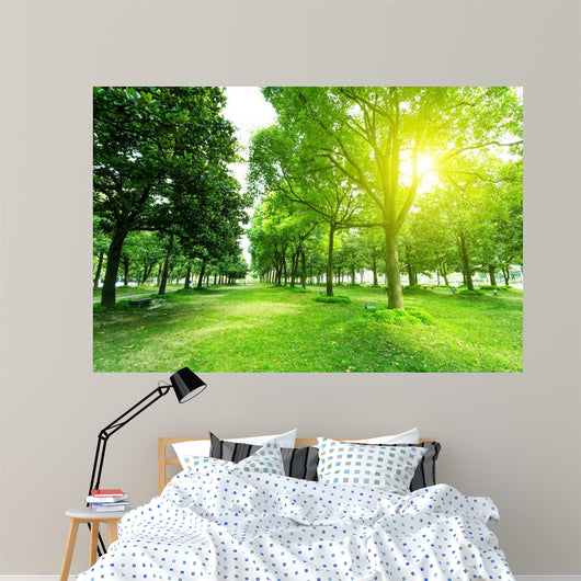 Footpath and Trees Park Wall Decal