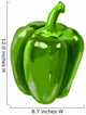 Picture Bell-pepper Wall Decal Design 2