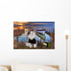 Cat Fishes Pond Sunset Wall Decal