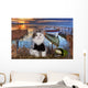 Cat Fishes Pond Sunset Wall Decal