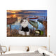 Cat Fishes Pond Sunset Wall Decal