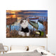 Cat Fishes Pond Sunset Wall Decal