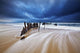 Ss Dicky Shipwreck Wall Decal