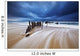 Ss Dicky Shipwreck Wall Decal