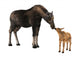 Female Moose and Calf Wall Decal