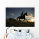 Equus Ferus Caballus Horse Wall Decal