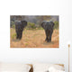 Two Elephant Bulls Walking Wall Decal