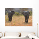Two Elephant Bulls Walking Wall Decal