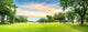 Tree Golf Course Wall Decal Panoramic Wall Decal