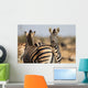 Zebra Herd Color Photo Wall Decal
