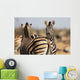 Zebra Herd Color Photo Wall Decal