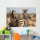 Zebra Herd Color Photo Wall Decal