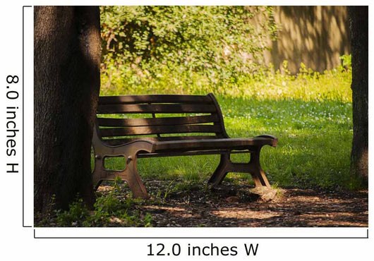 Panchina Un Parco Wall Decal