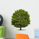 Eiche Wall Decal