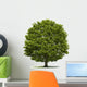 Eiche Wall Decal