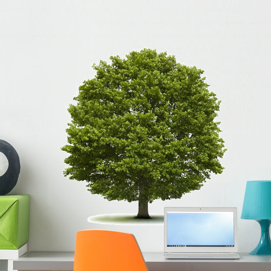 Eiche Wall Decal