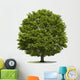Eiche Wall Decal