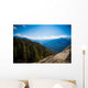 Blick Vom Moro Rock Wall Decal