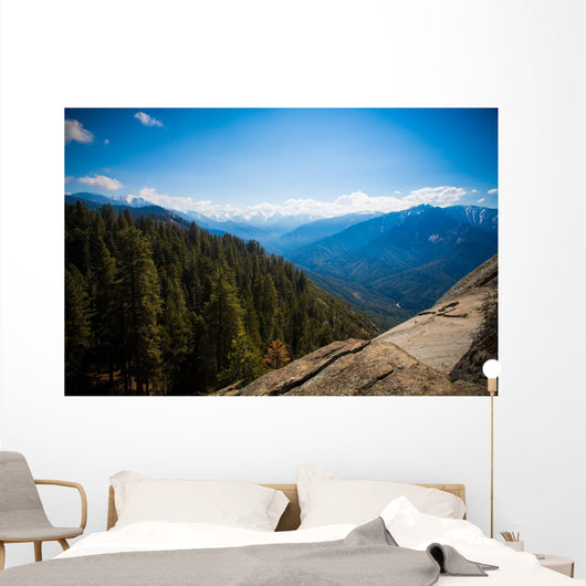 Blick Vom Moro Rock Wall Decal