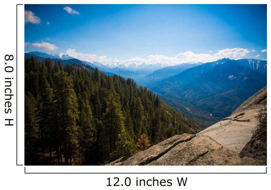 Blick Vom Moro Rock Wall Decal