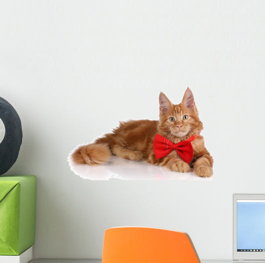 Beautiful Red Kitten Red Wall Decal