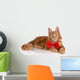 Beautiful Red Kitten Red Wall Decal