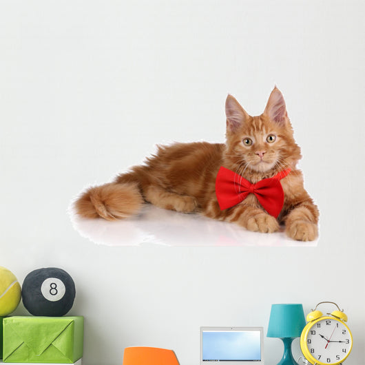 Beautiful Red Kitten Red Wall Decal