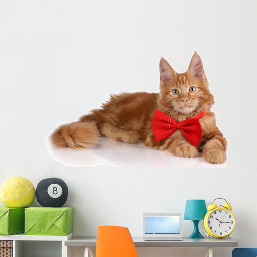 Beautiful Red Kitten Red Wall Decal