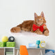 Beautiful Red Kitten Red Wall Decal