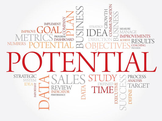 Potential Word Cloud Business Wall Decal