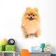 Cute Pomeranian Spitz Wall Decal Design 6