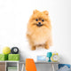 Cute Pomeranian Spitz Wall Decal Design 6