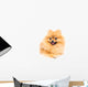 Cute Pomeranian Spitz Wall Decal Design 5