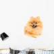 Cute Pomeranian Spitz Wall Decal Design 5