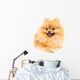 Cute Pomeranian Spitz Wall Decal Design 5