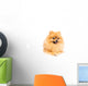 Cute Pomeranian Spitz Wall Decal Design 4